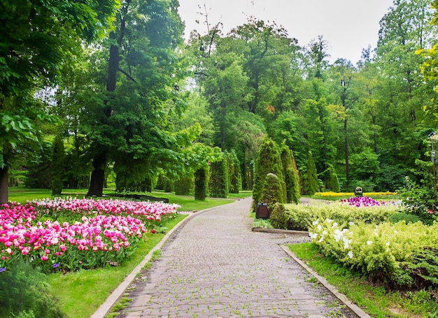 Beautiful green park and flowers between a pathway