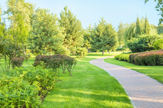 Beautiful green park on summer day