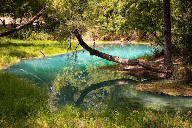 Beautiful green park in summer with a blue river