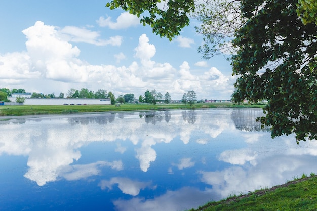 Bellissimo parco verde