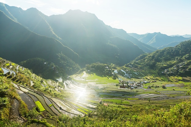 Beautiful Green Rice terraces in the Philippines. Rice cultivation in the Luzon island.