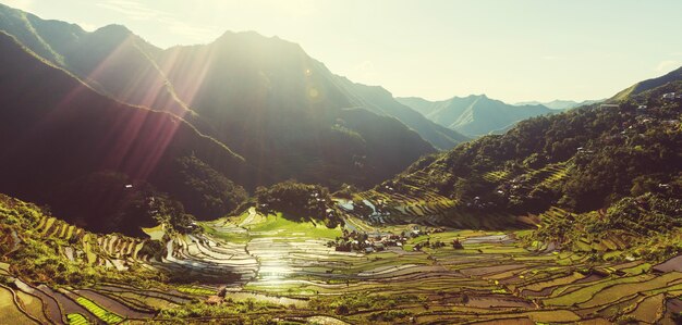 Beautiful Green Rice terraces in the Philippines. Rice cultivation in the Luzon island.