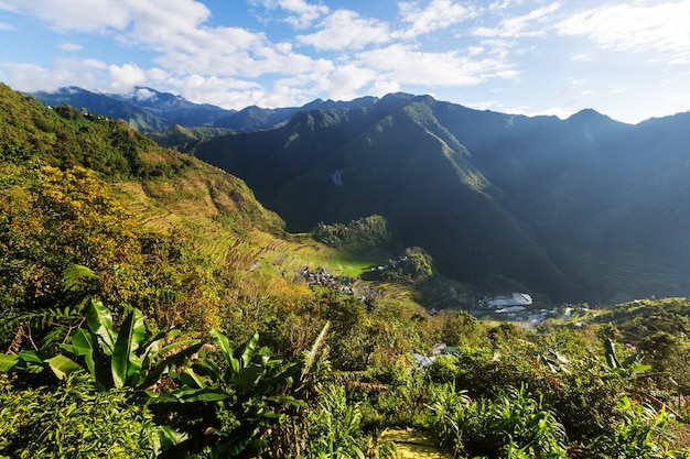 Beautiful Green Rice terraces in the Philippines. Rice cultivation in the Luzon island.