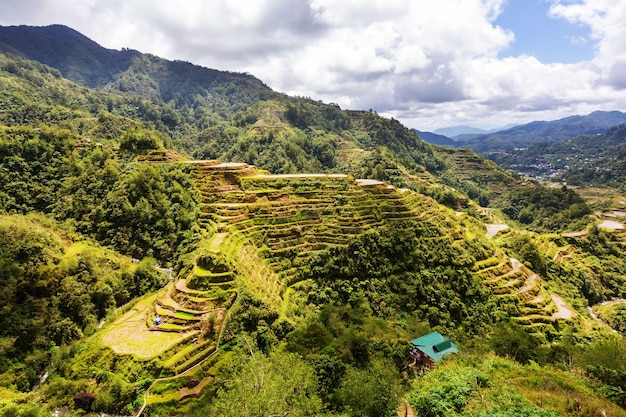 Beautiful Green Rice terraces in the Philippines. Rice cultivation in the Luzon island.