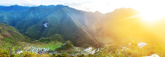 Beautiful Green Rice terraces in the Philippines. Rice cultivation in the Luzon island.