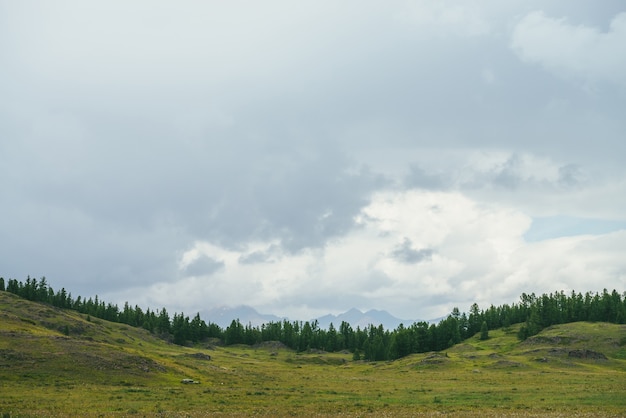 Beautiful green scenery with forest edge on hills against mountains silhouettes on horizon under cloudy sky. Atmospheric mountain landscape with forest hills and silhouettes of mountains in cloudy sky