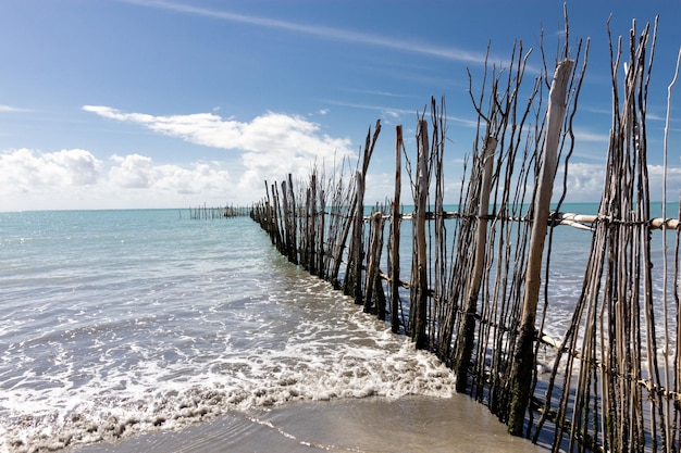 Beautiful green water beach with rustic wooden structure entering the sea