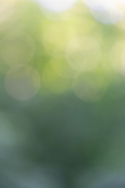 Photo beautiful green yellow abstract layout with bokeh circles. creative background