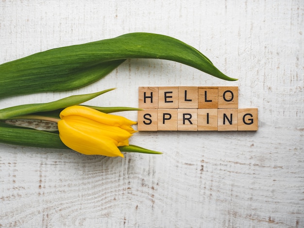 Beautiful greeting card with the word SPRING