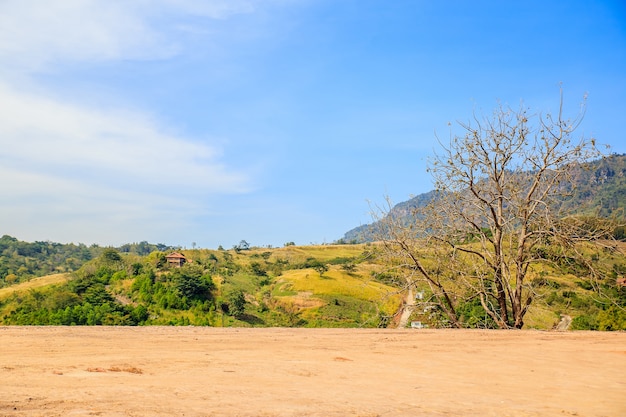 Foto bella vista sul terreno stradale con sfondo verde natura e cielo blu.