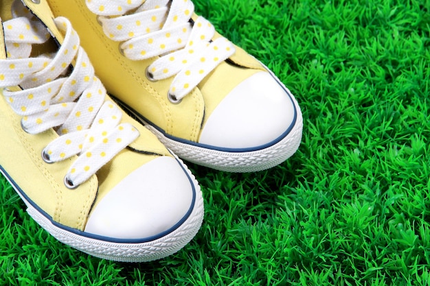 Beautiful gumshoes on green grass background