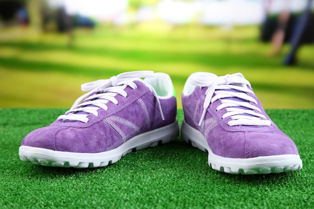 Beautiful gumshoes on green grass on bright background