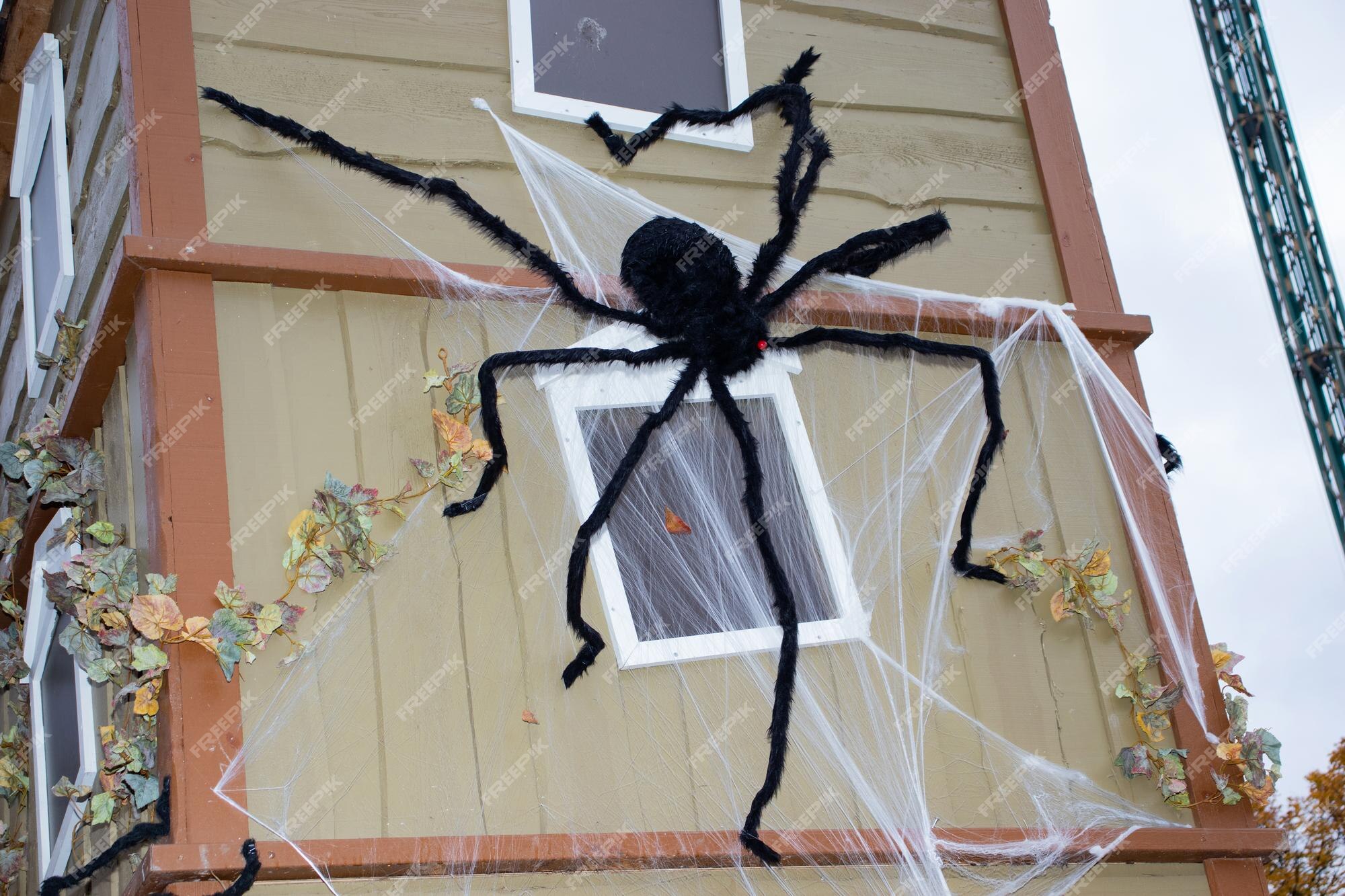 Premium Photo | Beautiful halloween decoration with a big spider ...