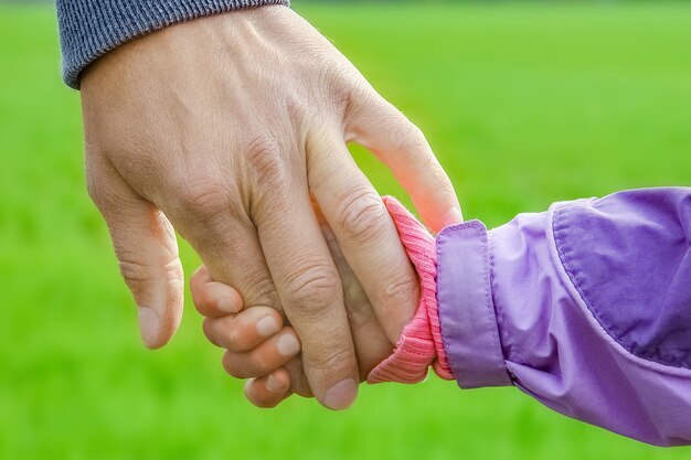 A beautiful hands of parent and child outdoors in the park