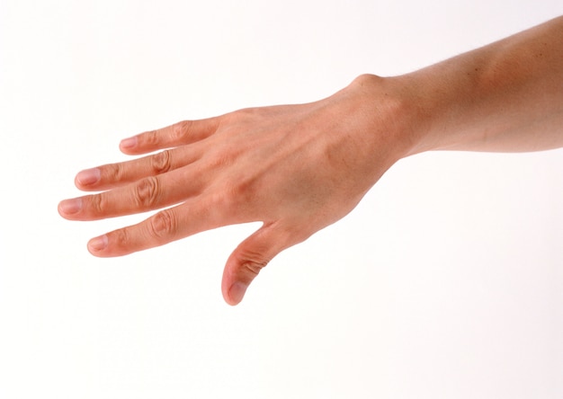 고립 된 흰색에 아름 다운 손