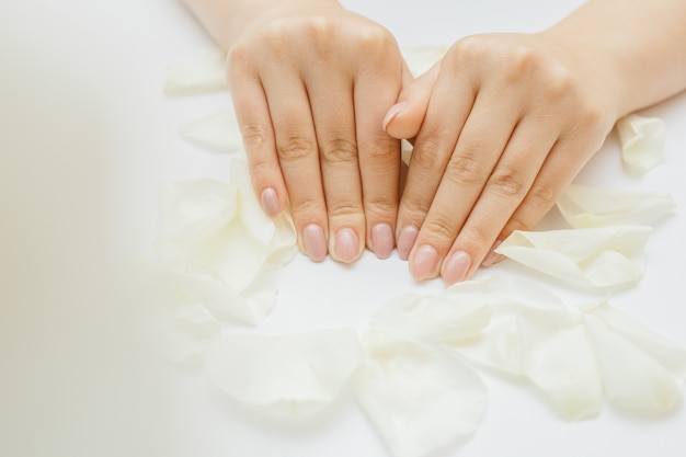 Beautiful hands with manicure and white rose petals