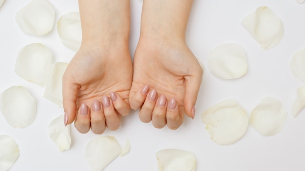 Beautiful hands with manicure and white rose petals