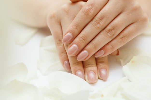 Beautiful hands with manicure and white rose petals