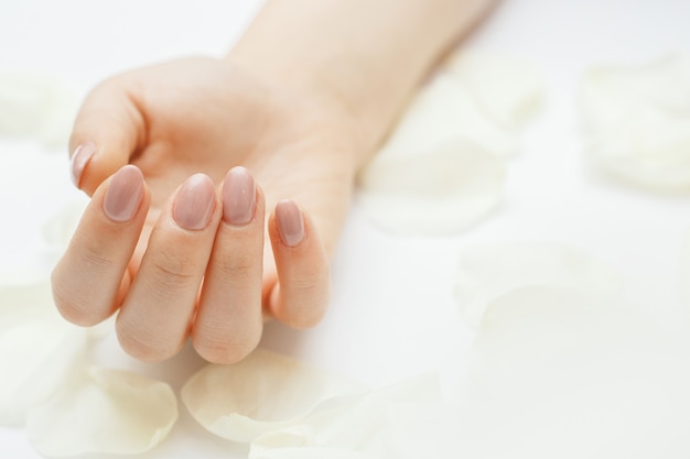 Beautiful hands with manicure and white rose petals