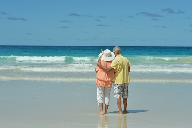 Beautiful happy elderly couple on beach at tropical resort,back view