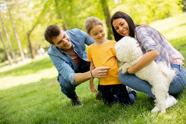 Красивая счастливая семья развлекается с собакой бишон на открытом воздухе в парке