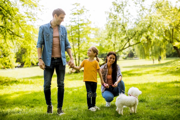 La bella famiglia felice si diverte con il cane maltese all'aperto