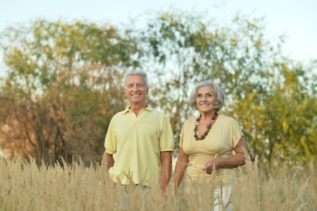 Beautiful happy senior couple in summer field