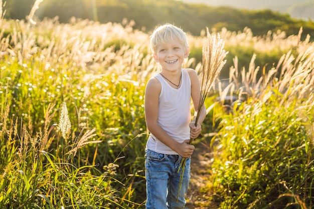 Beautiful happy smiling little boy among the cornfields touching plants with his hands