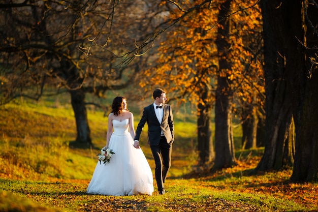 Beautiful happy stylish bride with elegant groom on the background of beautiful trees in the autumn park