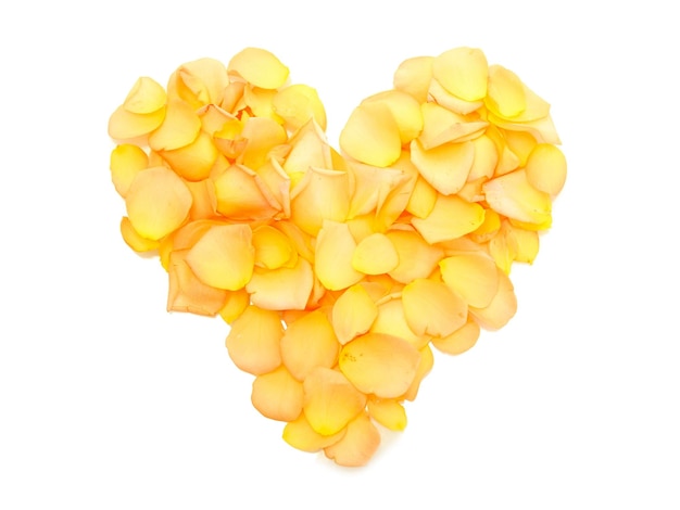 Beautiful heart of orange rose petals isolated on white