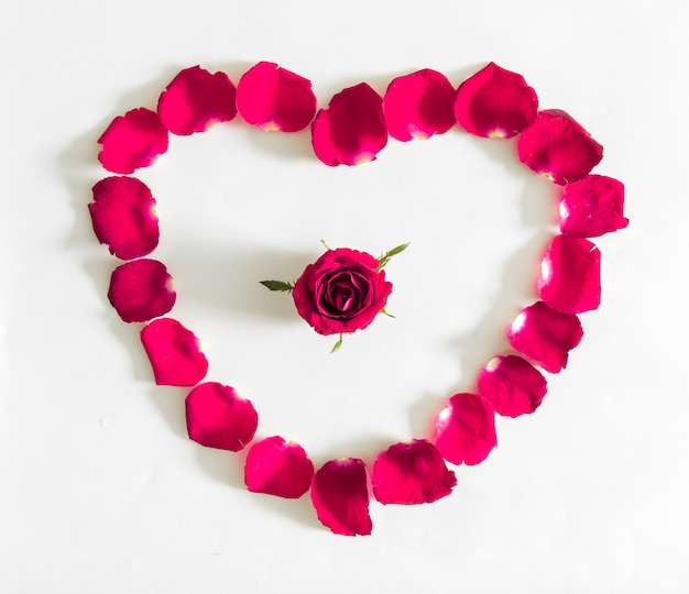 Beautiful heart of pink rose petals 