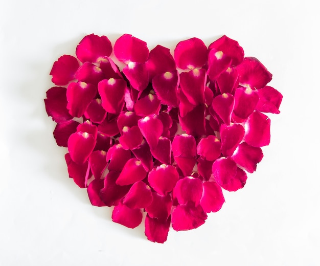Beautiful heart of pink rose petals 