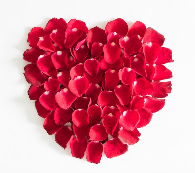 Beautiful heart of red rose petals isolated on white