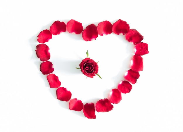 Beautiful heart of red rose petals isolated