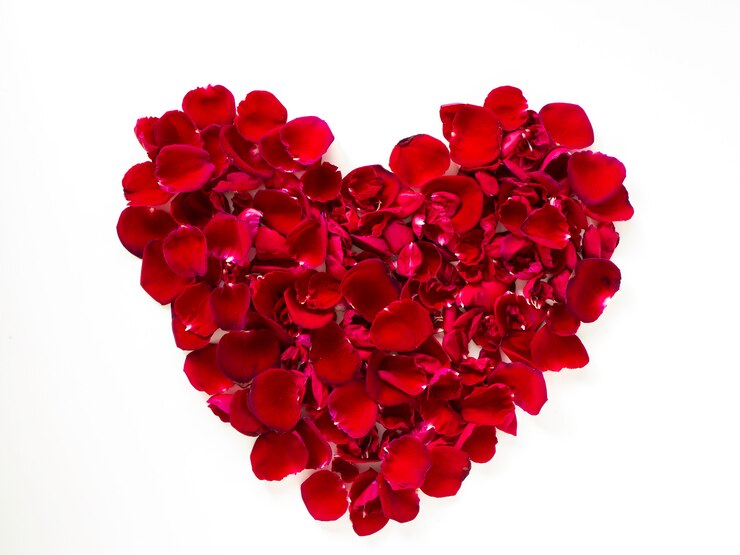 Beautiful heart of red rose petals on white