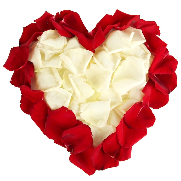 Beautiful heart of white rose petals surrounded by red petals isolated on white