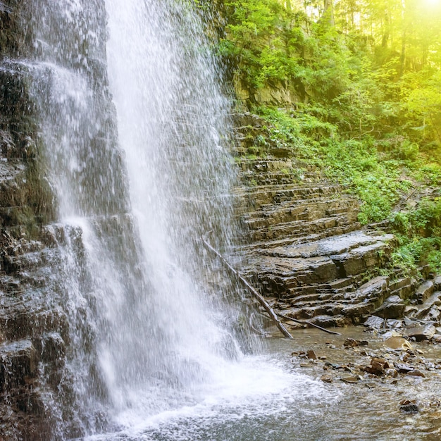 Beautiful high waterfall in the green forest