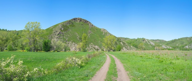 Beautiful hills covered with fresh spring greenery with a field road in the meadow