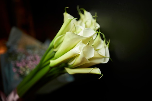 繊細な花の美しいホリデーブーケブーケ花