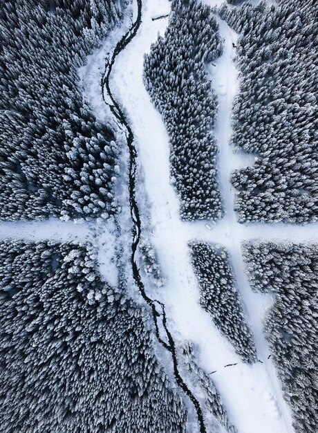 Foto bella natura per le vacanze meraviglioso paesaggio invernale