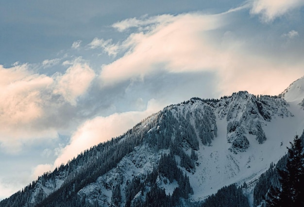 Foto bellezza della natura delle vacanze meravigliosa montagna invernale