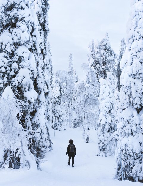 Foto belle vacanze natura paesaggio viaggio avventura naturale cielo invernale