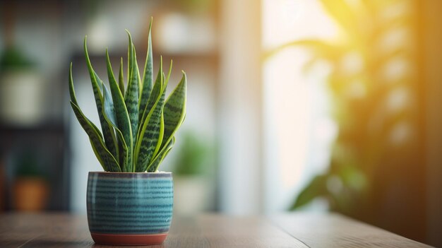 beautiful home flower on the table in a stylish room