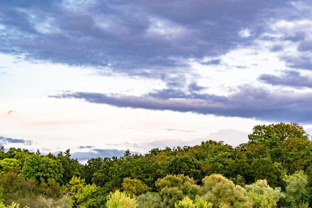 Beautiful horizon scenery in village meadow on color natural background photography consisting of horizon scenery in meadow village at long sedge horizon nature scenery in village meadow for animal