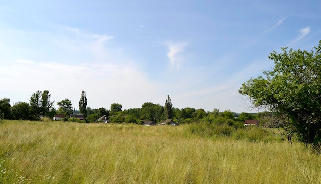 Beautiful horizon scenery in village meadow