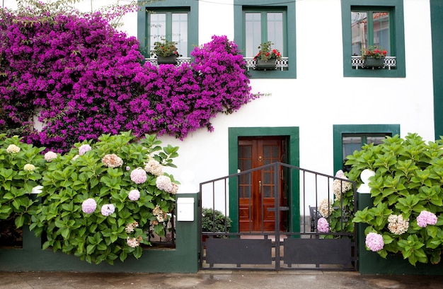 Foto bella casa con pentole alle finestre