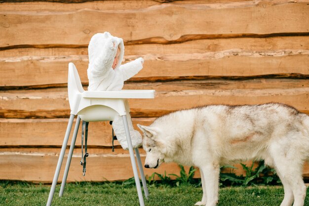 写真 高い椅子に座っている小さな子供の近くに立っている美しいハスキー