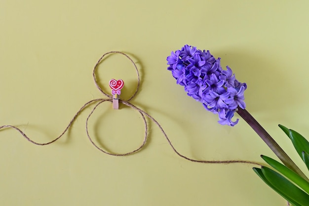 Beautiful hyacinth flowers and Easter eggs on yellow background