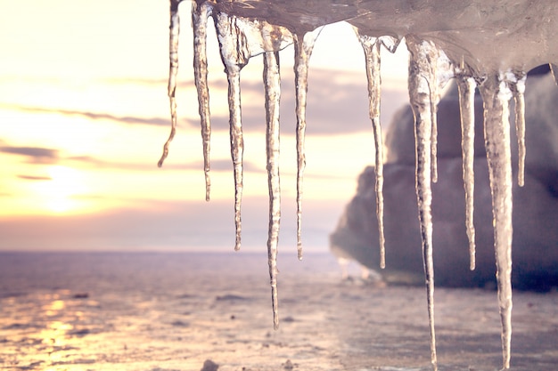 Beautiful icicles shine in sun against sunset. Winter time at Lake Baikal