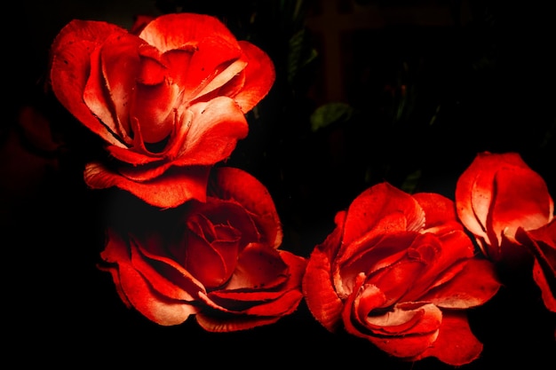 赤いバラの美しい模倣